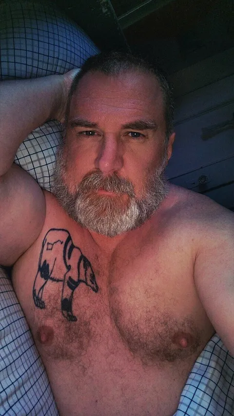 The Daddy Bear Life OnlyFans