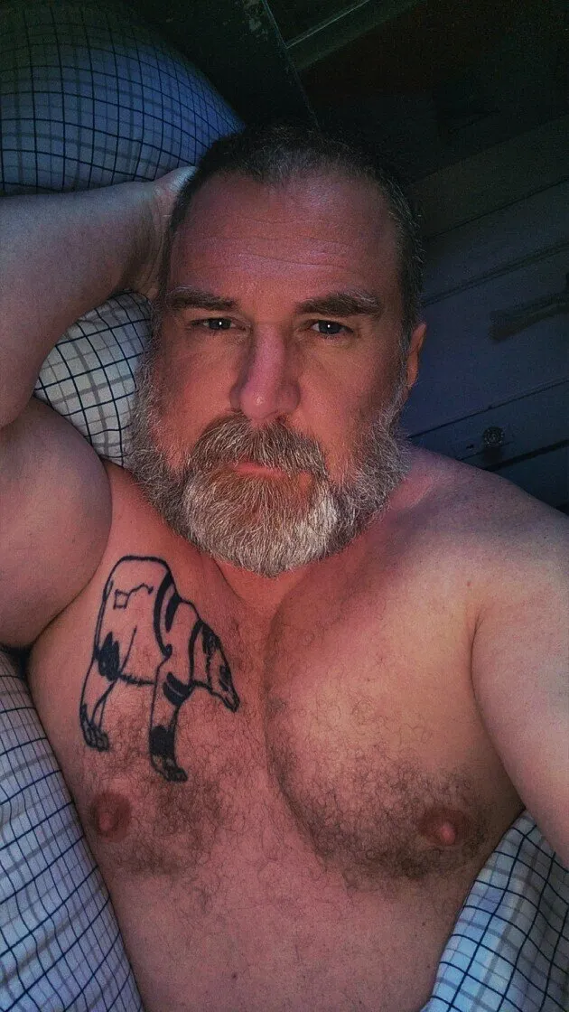 The Daddy Bear Life OnlyFans