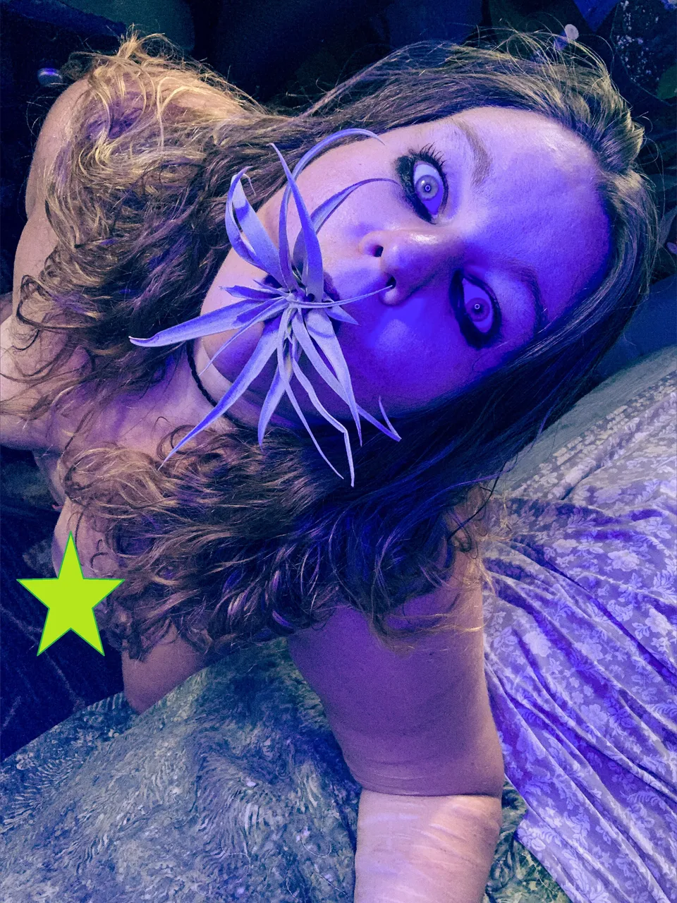 Ivy Lake OnlyFans